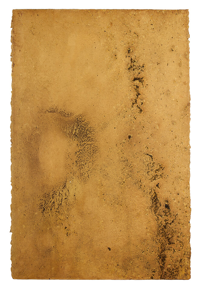 lloron papel 07.jpg